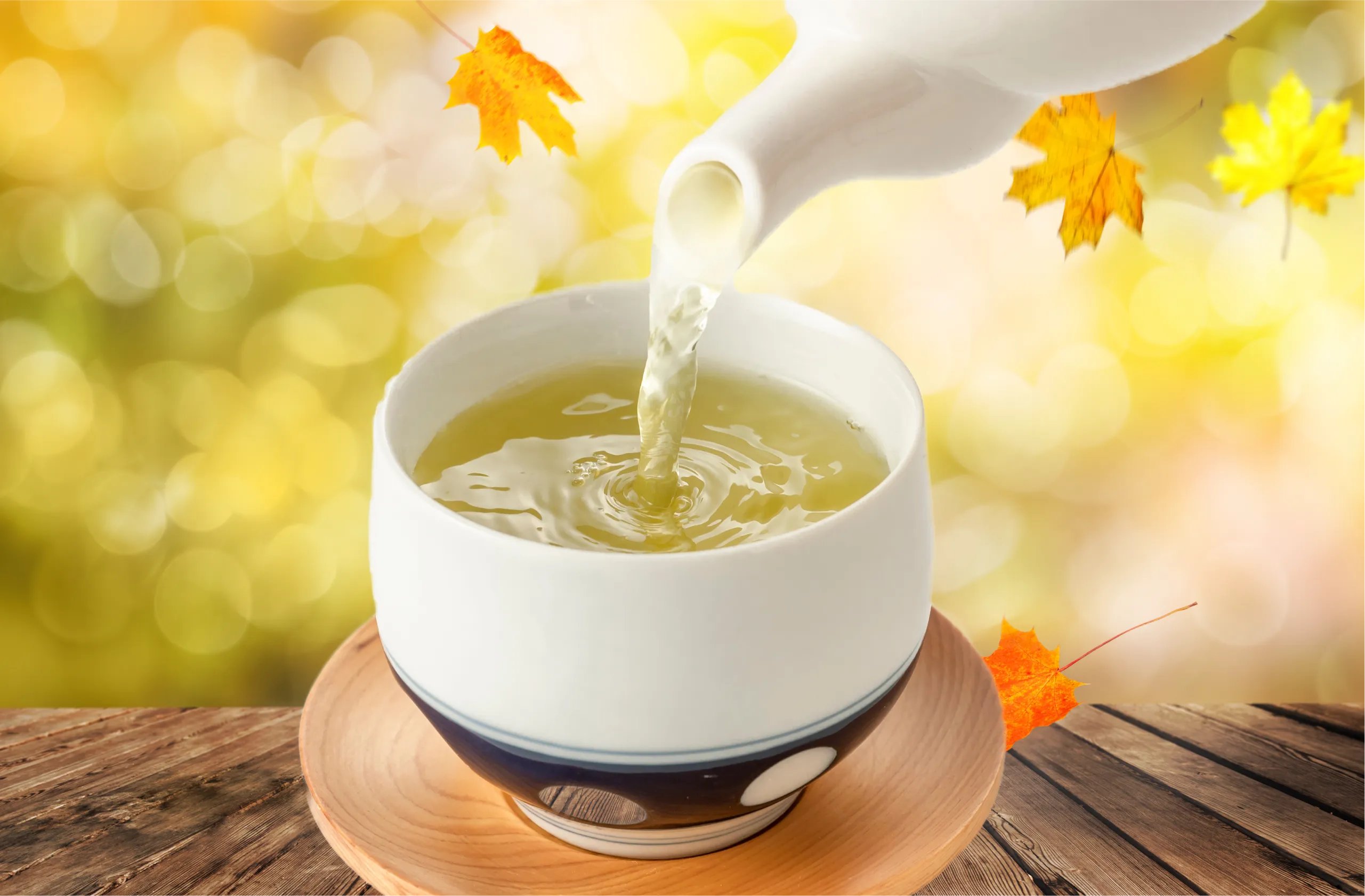秋の限定茶