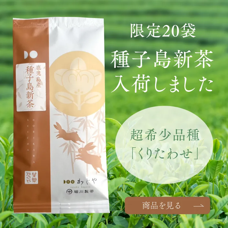 種子島新茶入荷