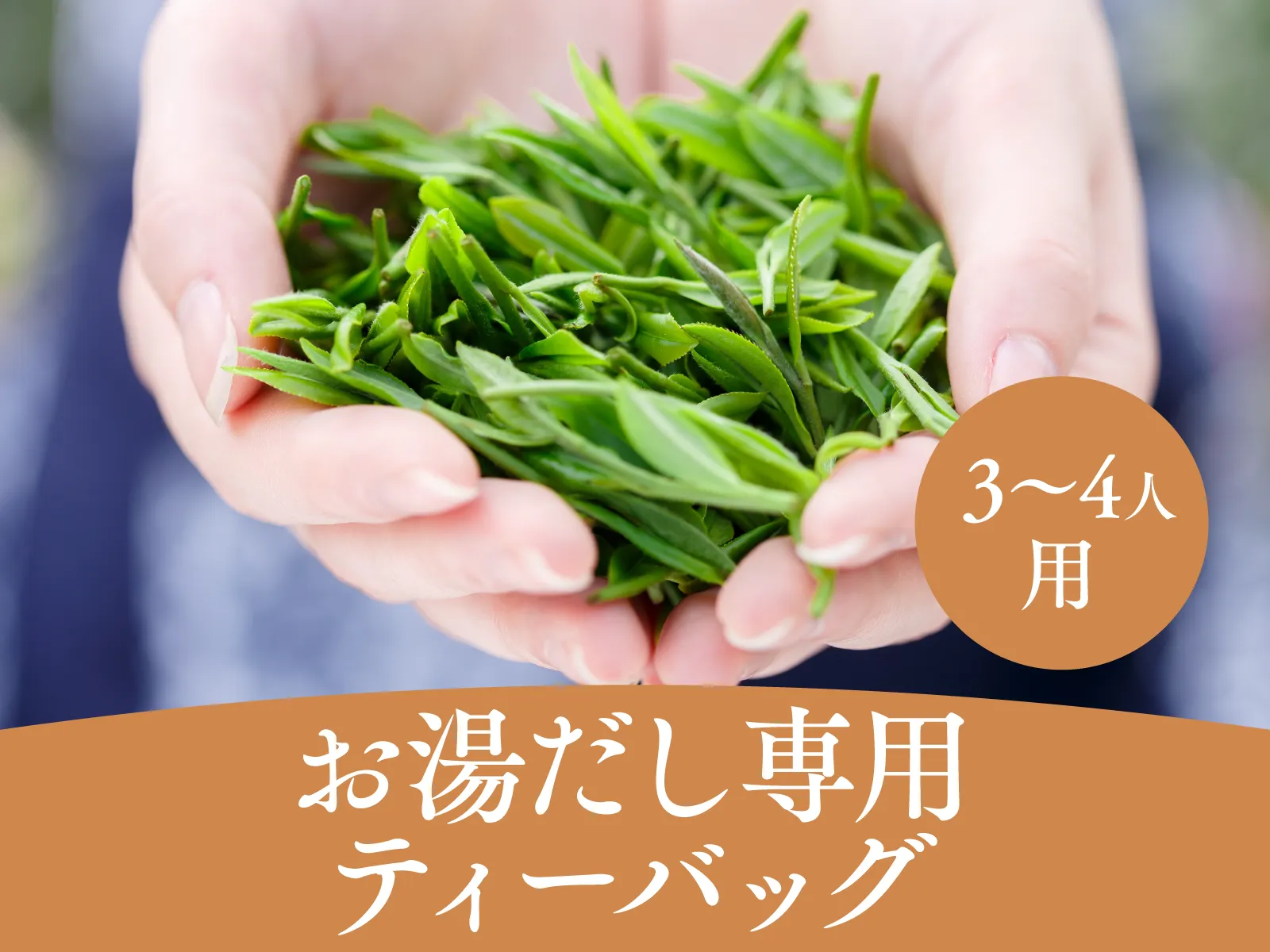 お湯出し専用ティーバッグ3〜4人前